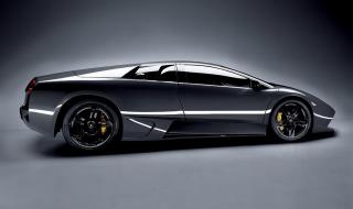 蝙蝠murcielago