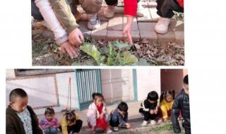 植树节图画一等奖