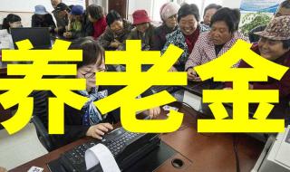 农村老人养老金多少
