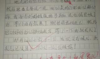 第一次做饭作文