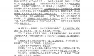 初中语文知识点总结